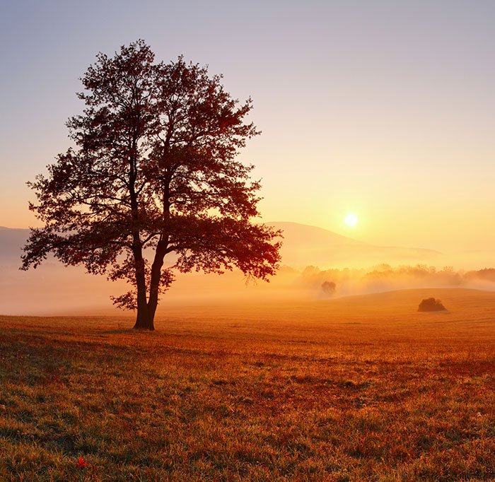 MARCUS HELM Kunst und Integration