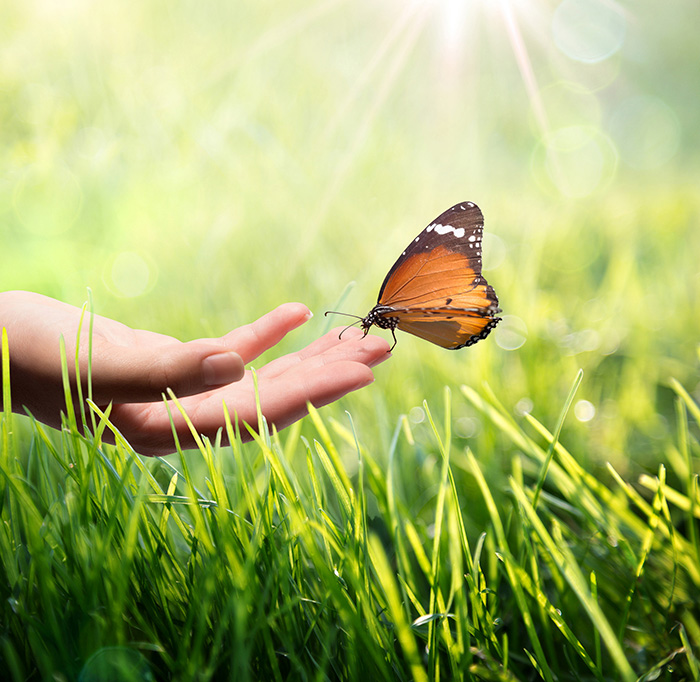 MARCUS HELM Energiearbeit