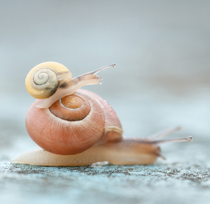 MARCUS HELM Kinderbetreuung