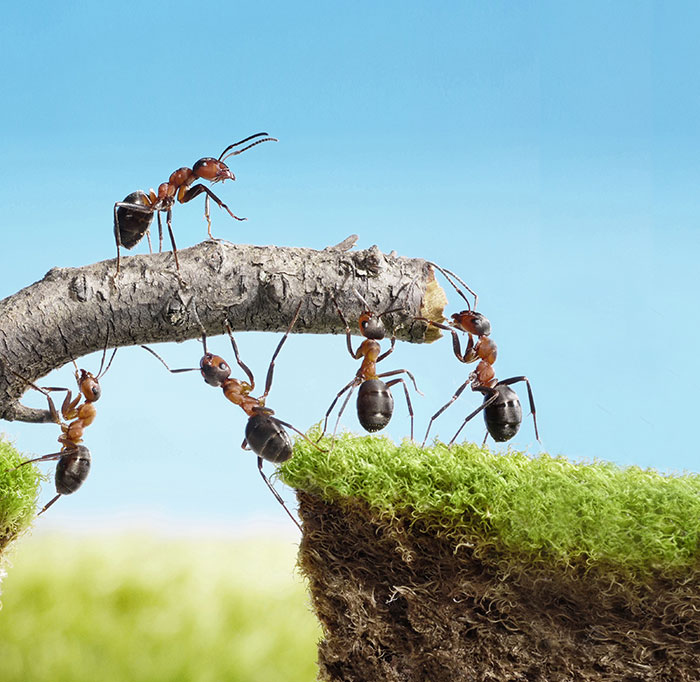 MARCUS HELM Life-Coaching